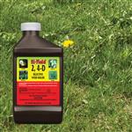 21415__2-4-D Selective Weed Killer 32 oz  lifestyle image